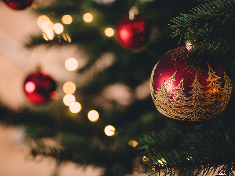 YUMMY & TRENDY® holiday event